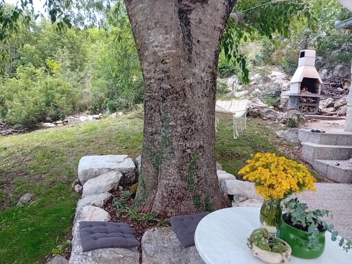 Holiday Home Mimara Korusce Exterior foto